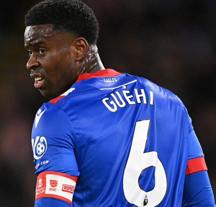 水晶宫中卫格伊今夏去向引关注，倾向红军枪手而非蓝月亮